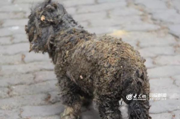 突發(fā)！青島一居民樓發(fā)生爆燃！已造1人死亡，7人受傷！3公里外有震感…