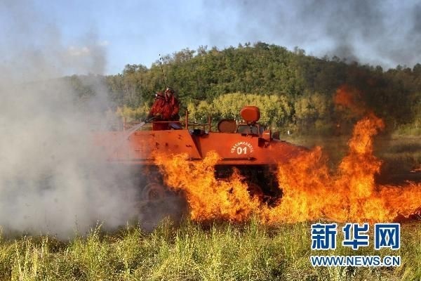 【動畫】森林草原防火“十不準(zhǔn)”“五不燒”！這些安全知識要牢記